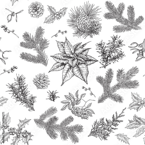 Winter Vintage botanical seamless pattern with fir branches, holly, mistletoe, poinsettia, taxus. Hand drawn engraved Christmas vector background for design package, holiday decor, decoration new year