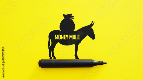 Photography Money Mule Concept Showing Recruitment of People for Illegal Money Transfers and