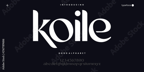 Elegant Modern Serif Font for Luxury Branding Fashion and Editorial Design