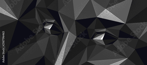 Cuadro en lienzo Low poly design of a boy male face in dark colors, vector illustration of a eyes looking at camera polygonal futuristic face wallpaper, artificial intelligence concept