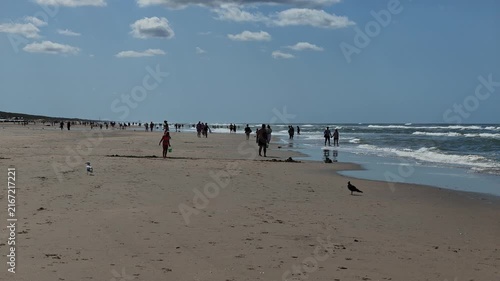 Netherlands - 23 august 2026, Zandvoort: Crowded Beach with People Enjoying Summer Day