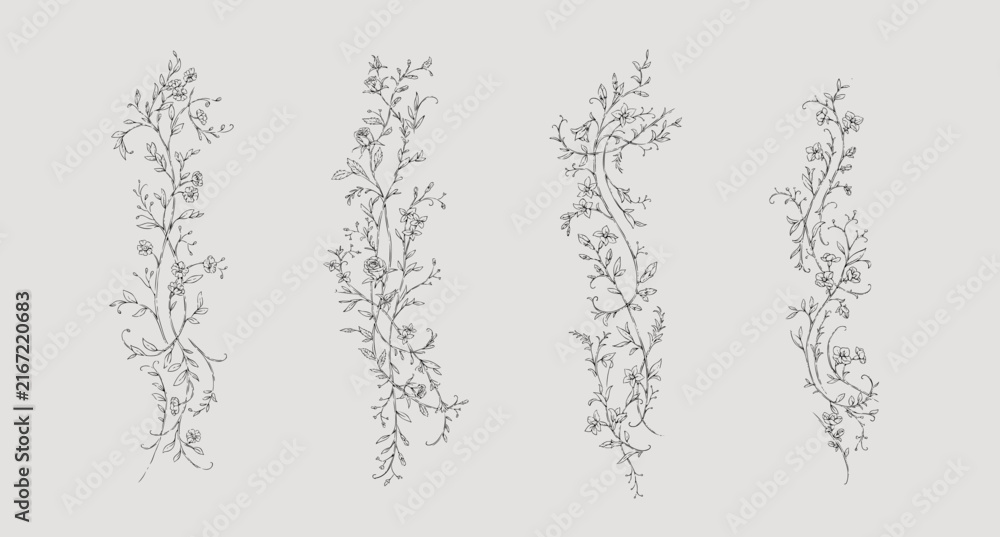 Fototapeta premium Floral whimsical or rococo borders. Vintage flowers and botanical calligraphy for packaging, wedding greeting card or