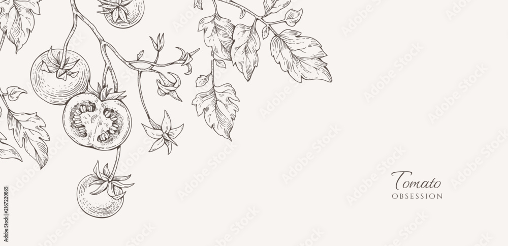 Obraz premium Background with tomatoes brunch and leaves. Detailed hand drawn ink illustration for template layout design, brochure or cover for food card