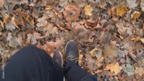 View from above to man's legs walks through fallen leaves in an autumn forest