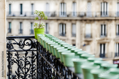 Green plant pots on a wrought-iron Parisian balcony railing with blurred Haussmannian buildings in the background.