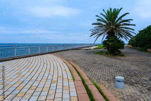 散歩の途中で見つけた残暑の風景