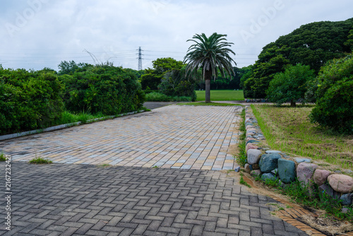 散歩の途中で見つけた残暑の風景