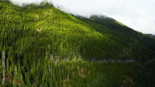 4K Ultra HD Nature Wonders High-Quality Stock Footage for Projects