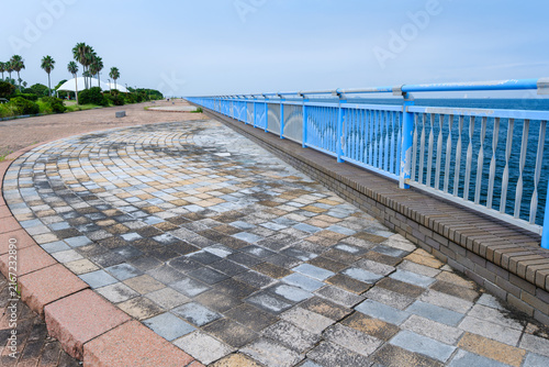 散歩の途中で見つけた残暑の風景