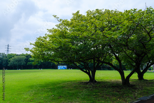 散歩の途中で見つけた残暑の風景