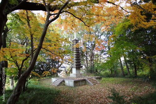 仏塔と紅葉
