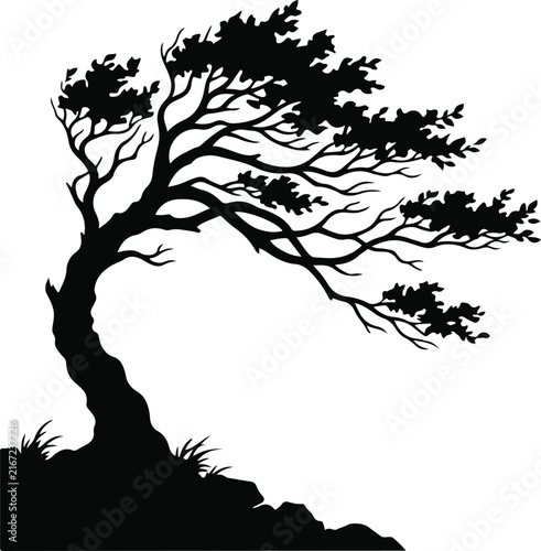 Hand-drawn willow tree sketch illustration. Line art foliage and trunk contour. Vector botanical nature landscape design. Black and white natural outline. isolated on White Background
