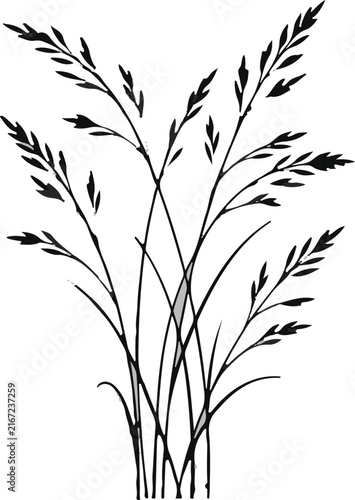 Black silhouette grass decoration, nature contour element, plant outline border, meadow vector clip art, botanical symbol isolated on White Background