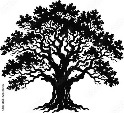 Realistic tree silhouette. Shadowy oak tree illustration. Nature and botanical design. Forest trees graphic element. Summer leafy branches outline. Ecology and landscape icon isolated on White