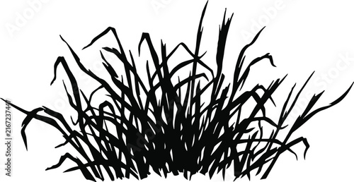 Vector grass silhouette set, wild weeds bundles, dark outline tangle of weeds, rural garden vegetation foliage doodle, camping design element isolated on White Background