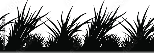 Grass Silhouette Vector. Black Weed Fluffy Tuft Outline. Decorative Border. Nature Element. Ground Texture. isolated on White Background