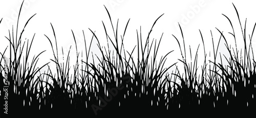 Tall grass silhouette, Wild vegetation vector, Meadow plant illustration, Weed outline, Nature foreground element, Field flora isolated on White Background