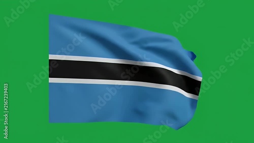 Waving Bahamian national flag in wind against bright green background for tourism and travel media