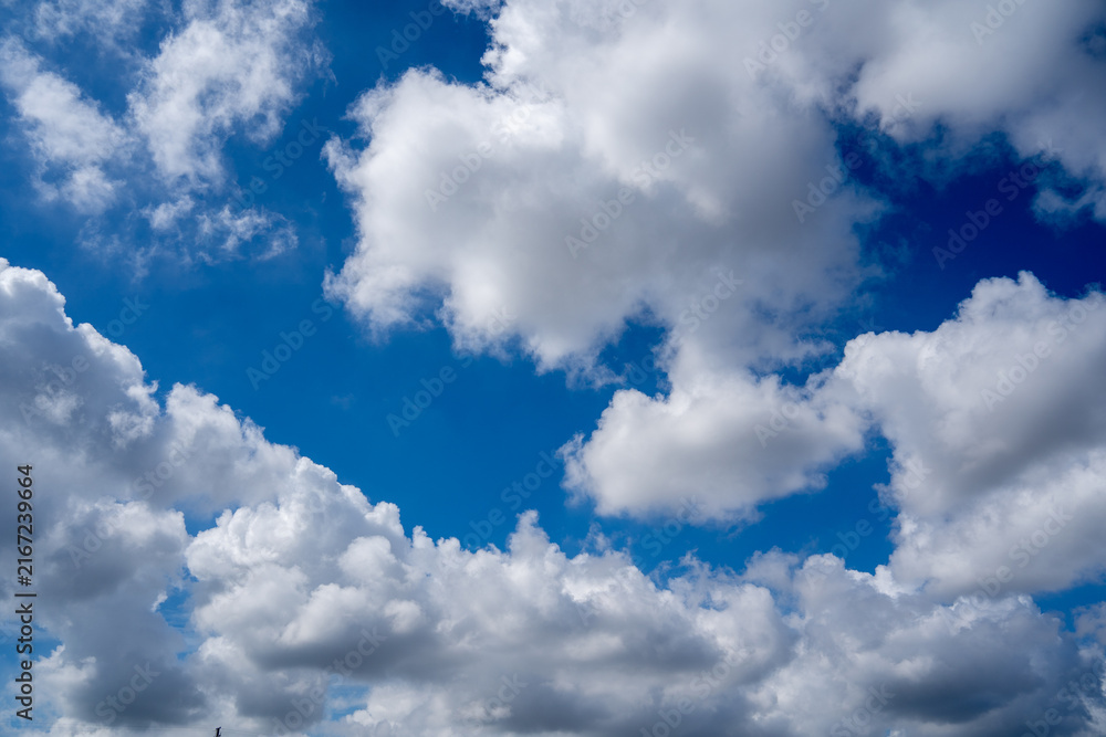 Fototapeta premium Bright Blue Sky Fluffy White Clouds On A Sunny Day