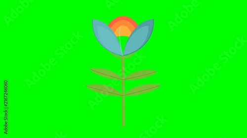 Minimalist Animated Flower Graphic on Green Screen Background