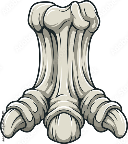 Detailed illustration of an isolated dinosaur foot fossil, showing a three-clawed bone structure. This prehistoric element represents a paleontological discovery.