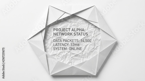 Project alpha network status infographic icon isolated on white background