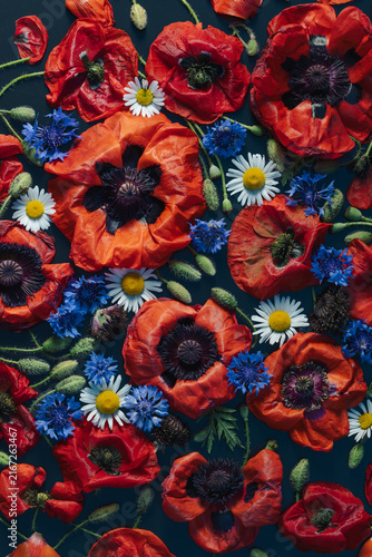 Red Poppies with Blue Cornflowers and White Daisies Arranged in Vertical Flat Lay Floral Background