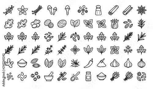 Spices and Herbs Outline Icon Set, Hand Drawn Cooking Ingredient Doodles, Rosemary, Garlic, and Seasoning Icons for Kitchen Design