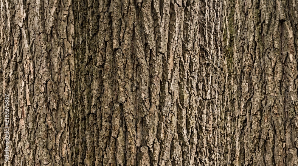 Naklejka premium Flat-lay view of a tree trunk displaying detailed bark texture, natural earthy tones, intricate cracks and ridges