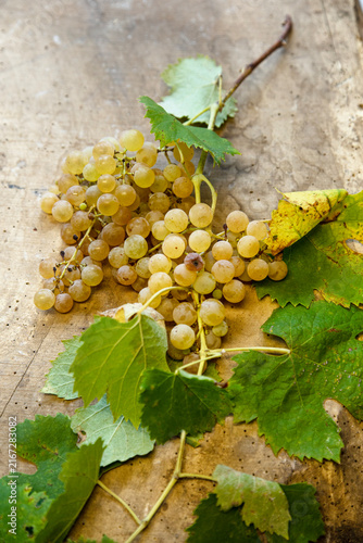 real bunch of white grapes on a rustic wooden table with leaves