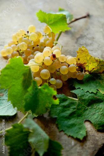 Bunch of white grapes on a rustic wooden table with dry leaves, ready to make wine