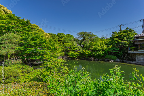 Bild auf Leinwand Deep blue sky reflecting over a lush pond framed by vibrant green trees at Mejir