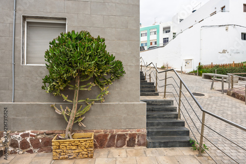 Succulent plant in stone planter beside staircase with handrails on a residential street.