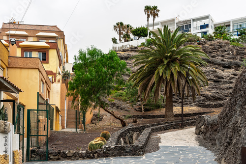 Stone pathway winding through rocky hillside with palm trees and residential houses.