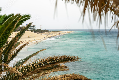 Sandy beach with lighthouse and turquoise ocean framed by palm leaves in Morro Jable, Fuerteventura.