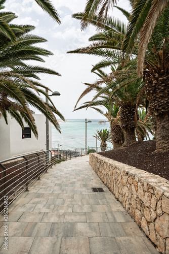 Palm-lined pedestrian path leading to turquoise sea in Morro Jable, Fuerteventura.