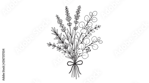 Hand-drawn lavender and eucalyptus bouquet vector, botanical floral line art illustration, minimalist wildflower bunch with ribbon bow