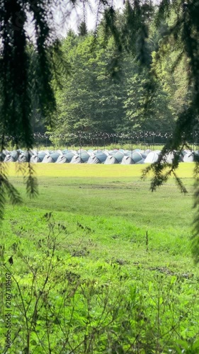 Campground filled with numerous tourist tents set up on forest clearing. Large outdoor camping site on green meadow surrounded by pine trees under summer sun. Outdoor recreation event and