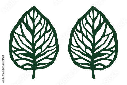Dos ilustraciones vectoriales de hojas verdes con venas detalladas sobre un fondo blanco, ideales para diseños botánicos, proyectos de naturaleza y elementos decorativos minimalistas.