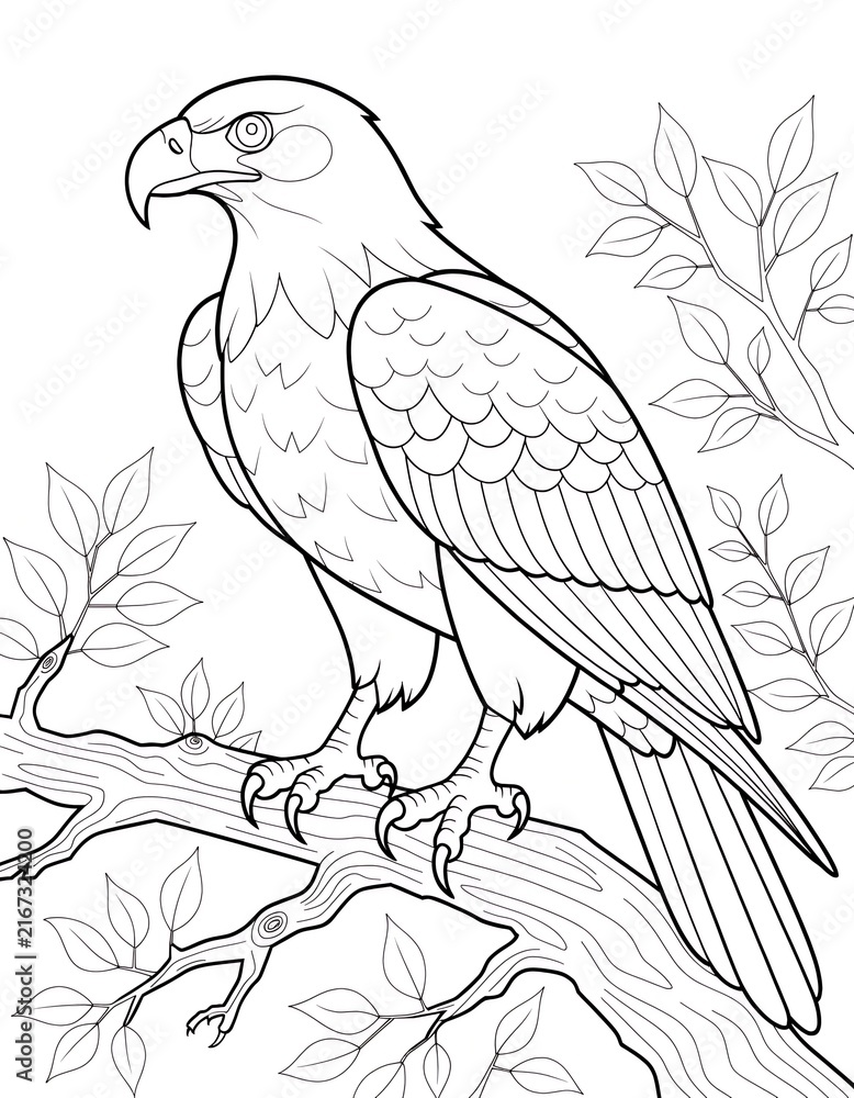 Fototapeta premium Eagle Perched on Tree Branch Line Art Vector Illustration for Coloring Book Page