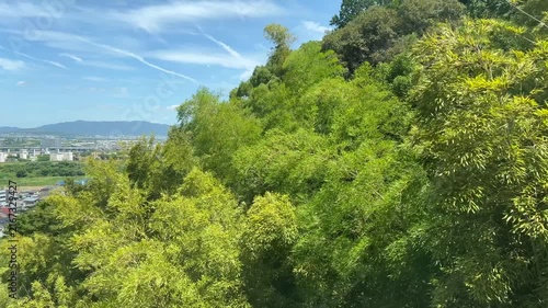 石清水八幡宮の男山ケーブルからの夏の風景