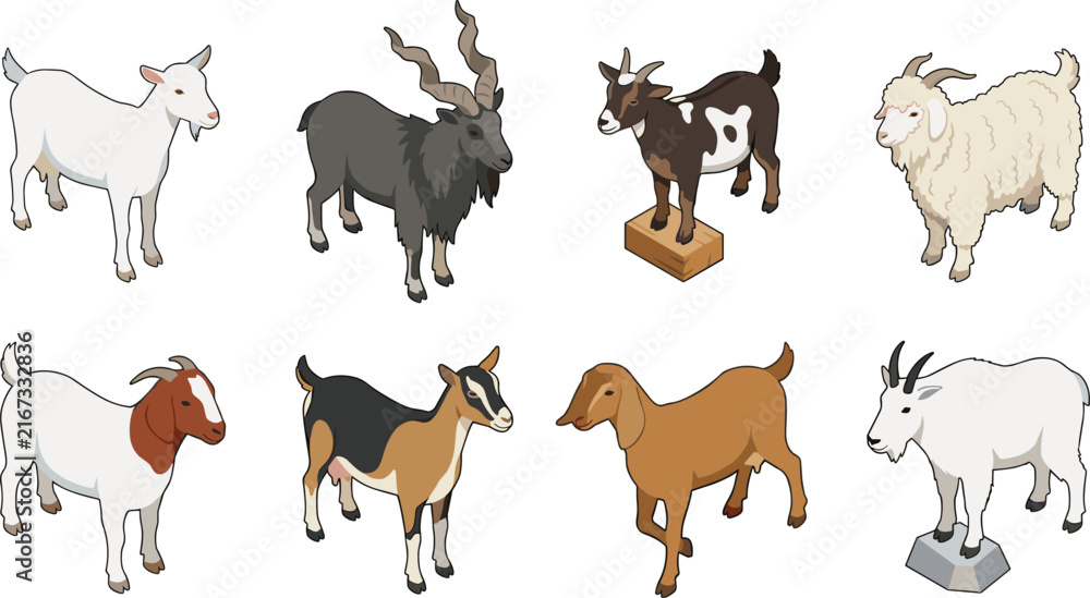 Obraz premium Isometric Domestic and Wild Goat Breed Vector Icon Set Featuring Markhor, Boer, Angora, Mountain Goat, and Livestock Farming Elements