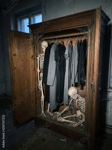 Skeletons in a wardrobe lit by bright flashlight revealing dark family secrets