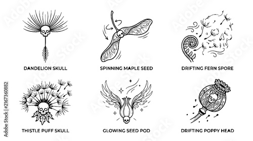 A collection of six hand drawn botanical illustrations featuring skulls integrated into various plant seeds and pods.