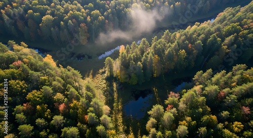 Misty Autumn Forest Surrounding Small Lakes in Aerial Wilderness Landscape