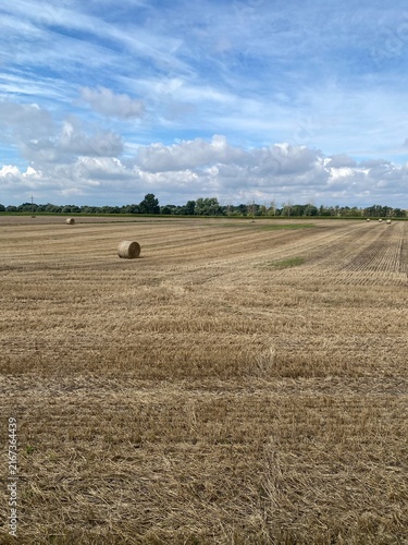 Canvas Print Round hay bale in harvested field under blue sky with clouds