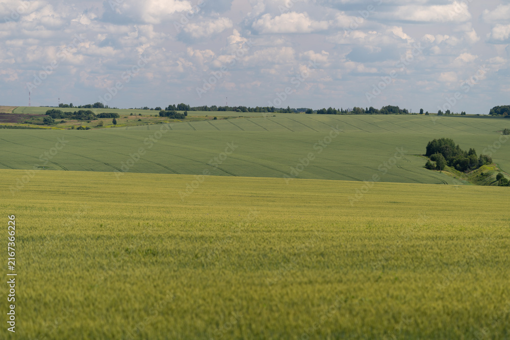 Fototapeta premium Vibrant green fields stretch across the horizon under a vast sky showcasing nature's beauty in a peaceful rural setting