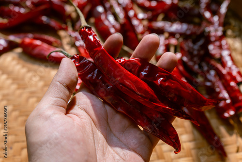 Hand holding dried chili peppers on traditional indonesian woven bamboo basket (besek), prepared to make sambal (spicy sauce), chili oil, or other hot dishes