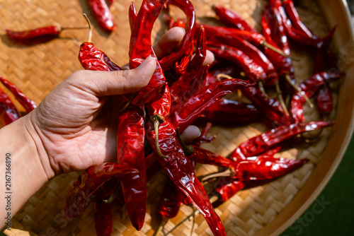 Hand holding dried chili peppers on traditional indonesian woven bamboo basket (besek), prepared to make sambal (spicy sauce), chili oil, or other hot dishes