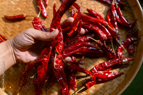 Hand holding dried chili peppers on traditional indonesian woven bamboo basket (besek), prepared to make sambal (spicy sauce), chili oil, or other hot dishes